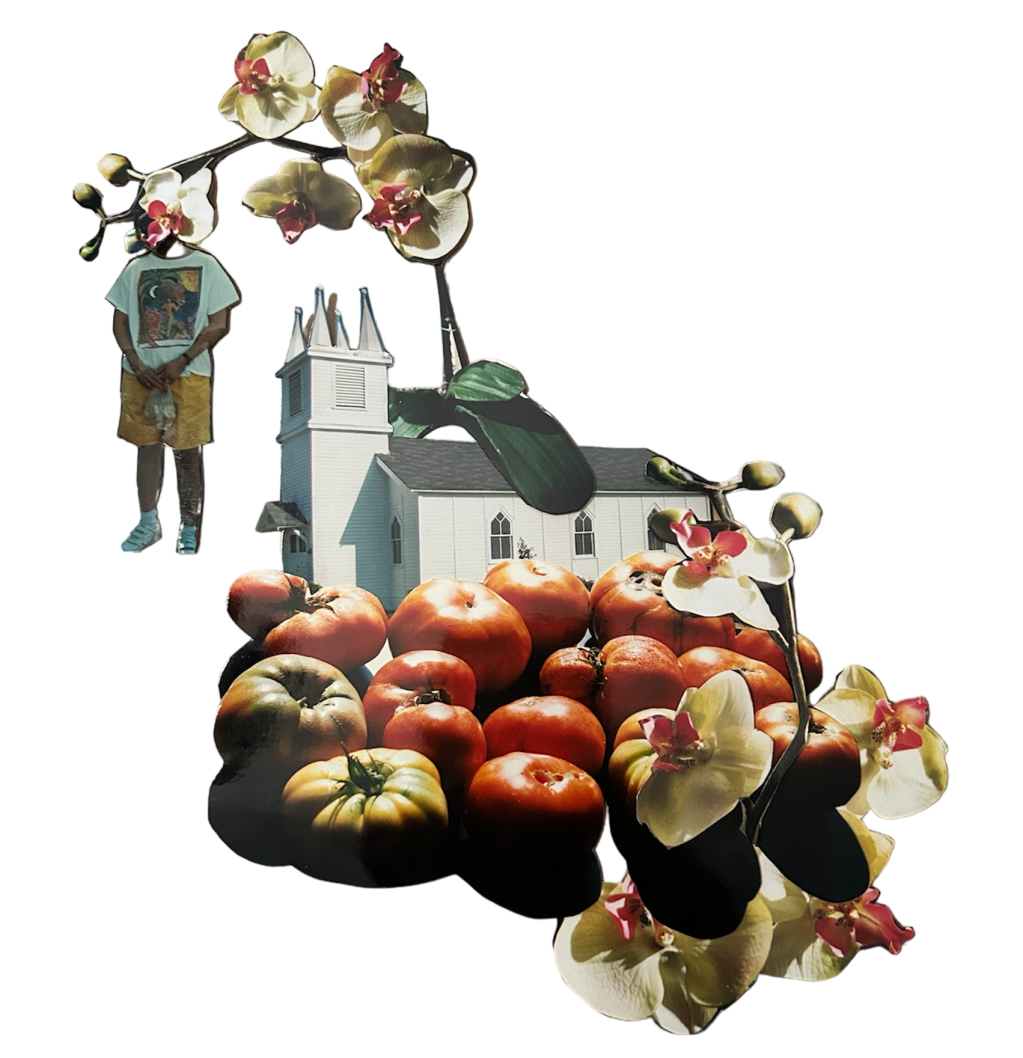 GROWING UP AT MOM’S&nbsp;HOUSE